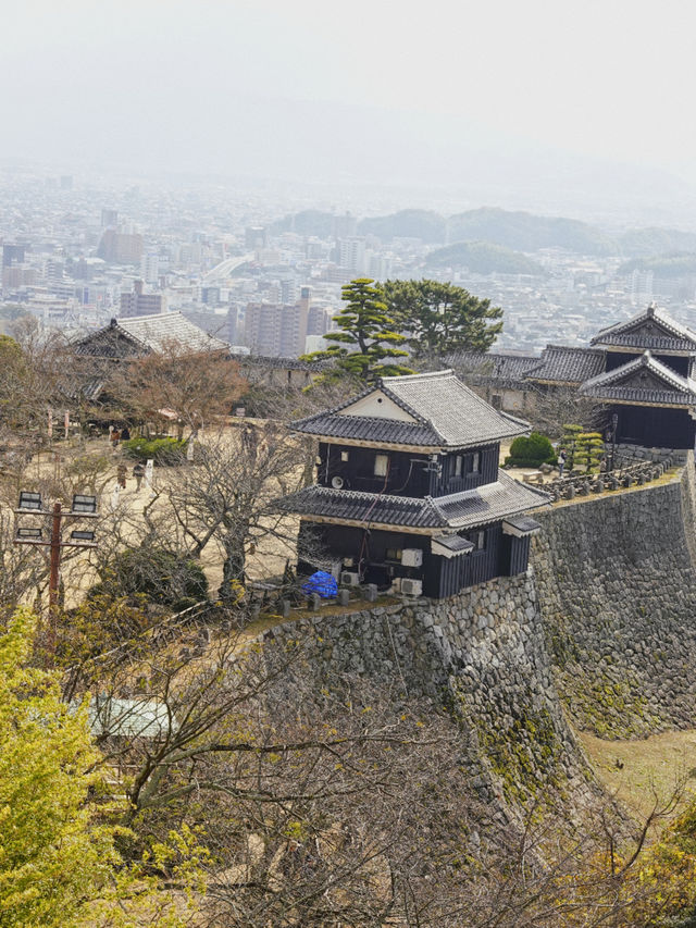 四國松山｜愛媛除了道後溫泉，還有松山城