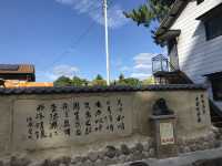 🌸有馬溫泉一日游，赴一場春日治癒之旅🌸