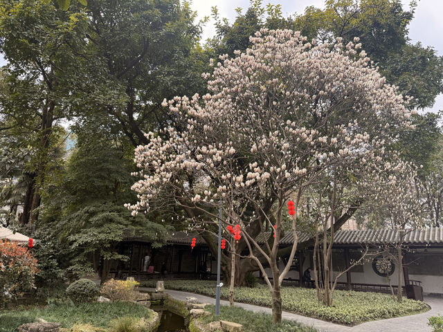 去一次就會愛上成都的慢生活樂活樂活
