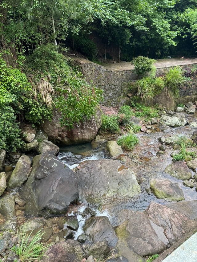 麗水-台州-金華3日遊 玩轉精華景點不重樣