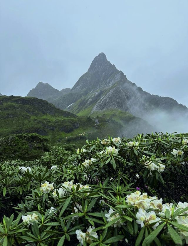 南極洛徒步：走進現實版綠野仙蹤