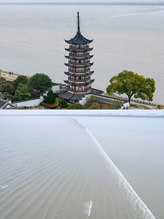 接下來的海寧，是萬萬次春光明媚