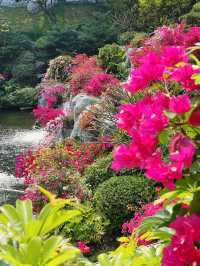 廣州攻略｜花城賞花熱，雲蘿植物園打卡多巴胺