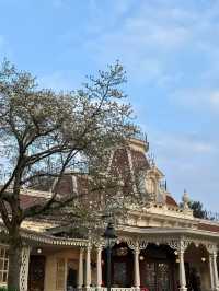 Discover the Magic of Disneyland Paris