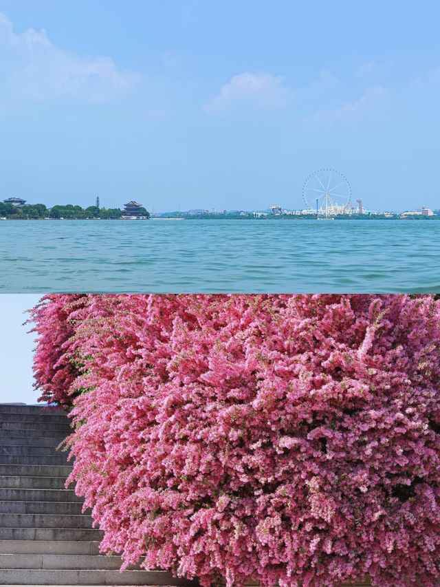 湖南常德柳葉湖