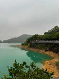 珠海金台寺：塵世之外的清淨梵境