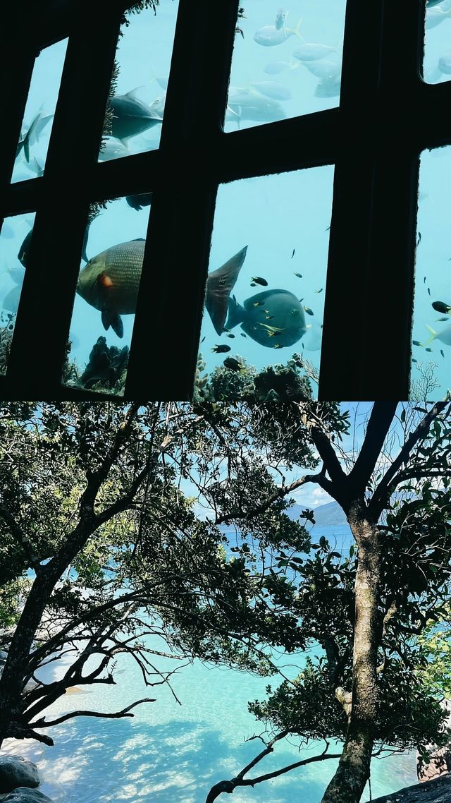 白天堂沙灘