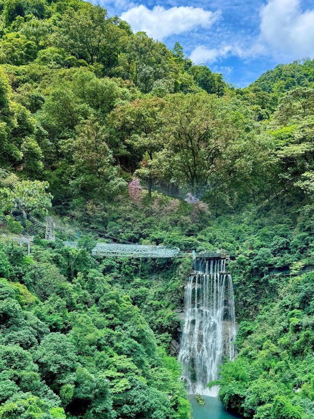 清遠古龍峽神秘面紗背後的震撼之旅