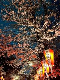 東京上野恩賜公園——一個讓人流連忘返的綠意角落