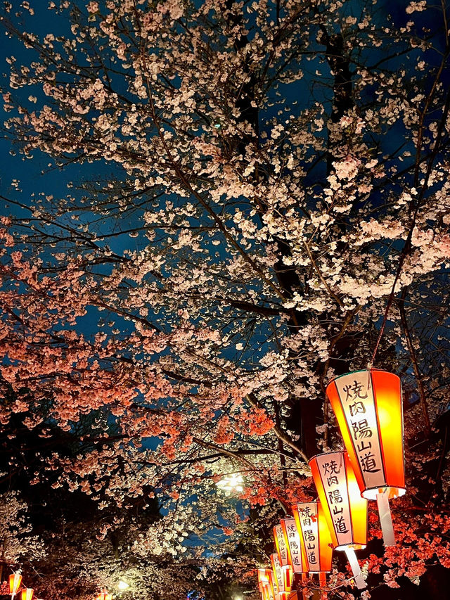 東京上野恩賜公園——一個讓人流連忘返的綠意角落