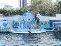 深圳野生動物園玩轉攻略，萌獸奇遇之旅