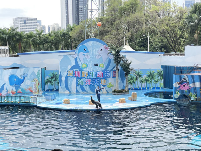 深圳野生動物園玩轉攻略，萌獸奇遇之旅