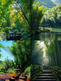 蜀南竹海：被竹林包裹的東方翡翠王國
