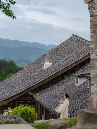 Heavenly Days in a Tea Garden at the Junction of Three Provinces, Just 1.5 Hours from Xi'an