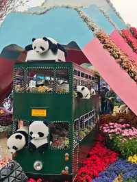 2025香港花卉展覽攻略（3月17日）