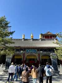 五一走跳｜菩薩頂·有求必應的「五爺廟」