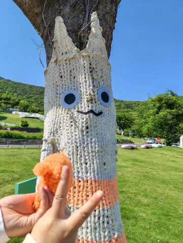 朱家尖｜舟山海島秘境，絕美海岸線全攻略！