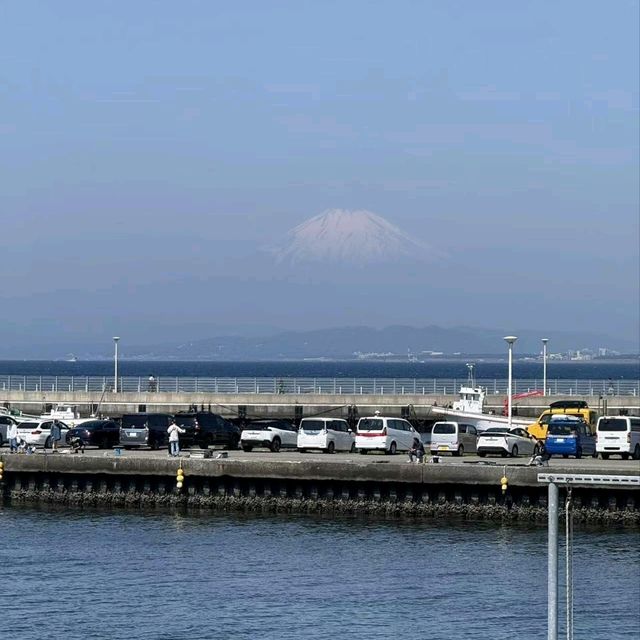  📔東京實習日記｜江之島治愈之旅：在山海間捕捉夏日浪漫 