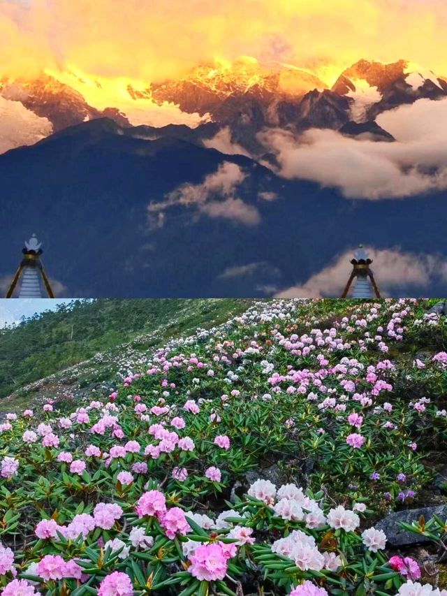 香格里拉