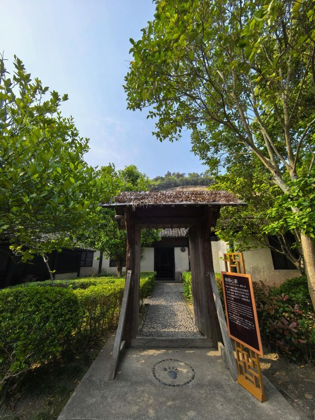 桃花影落，碧海潮生