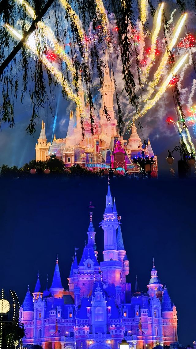|迪士尼•在逃公主|Disneyland