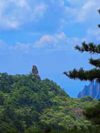 總要去趟黃山吧 真係靚到喊