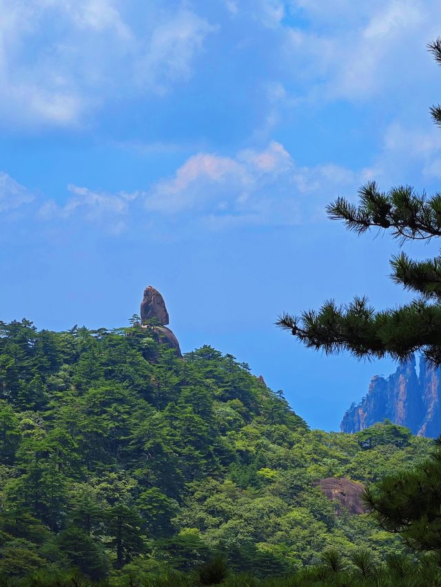 總要去趟黃山吧 真係靚到喊