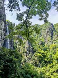 一山一藥王，一景一傳奇——藥王山深度體驗