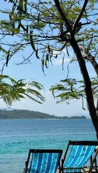 【芽莊旅遊全攻略】玩轉越南珍珠海岸，解鎖潛水天堂新玩法！