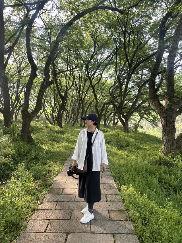 縉雲旅遊｜誤入仙俠世界|縉雲仙都超全攻略