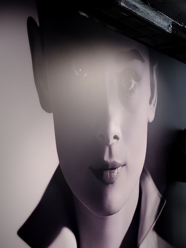 在上海外灘，當玫瑰遇見菲林 | 寫給柯德莉的情書