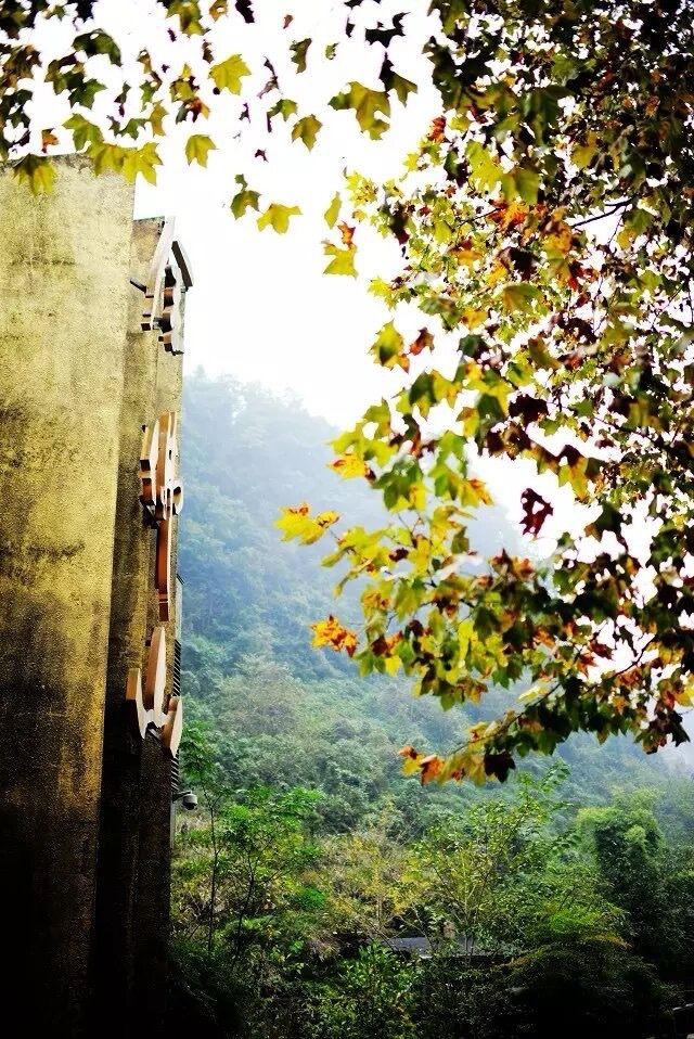 熟悉嘅地方冇風景 行出一步 全部係風景