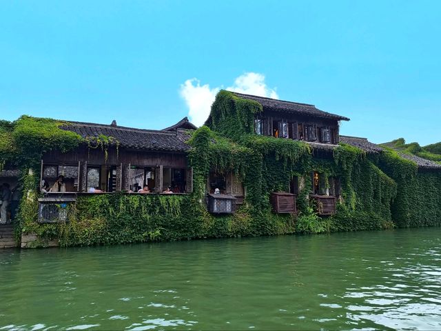 🏮 **Step Back in Time: Wuzhen Watertown Magic!**