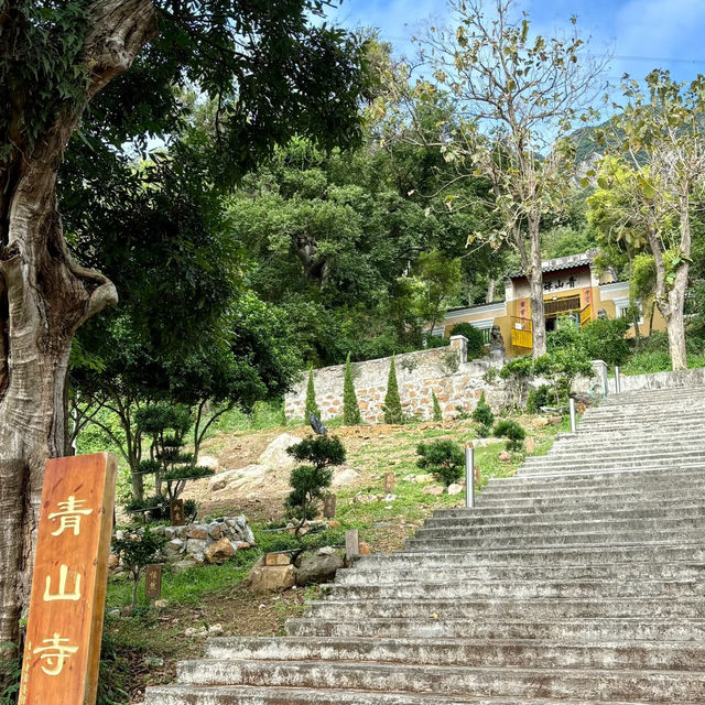 🚢🇭🇰澳門跨境香港交通爬山攻略｜暢遊青山寺、挑戰杯渡岩！