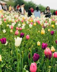 漫花莊園