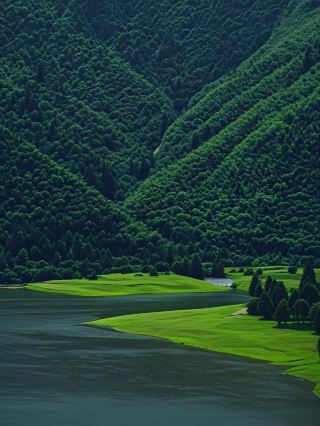 Help! Hangzhou 1h direct to the cloud prairie! Hobbit House × Cliff Swing × Chasing Alpacas