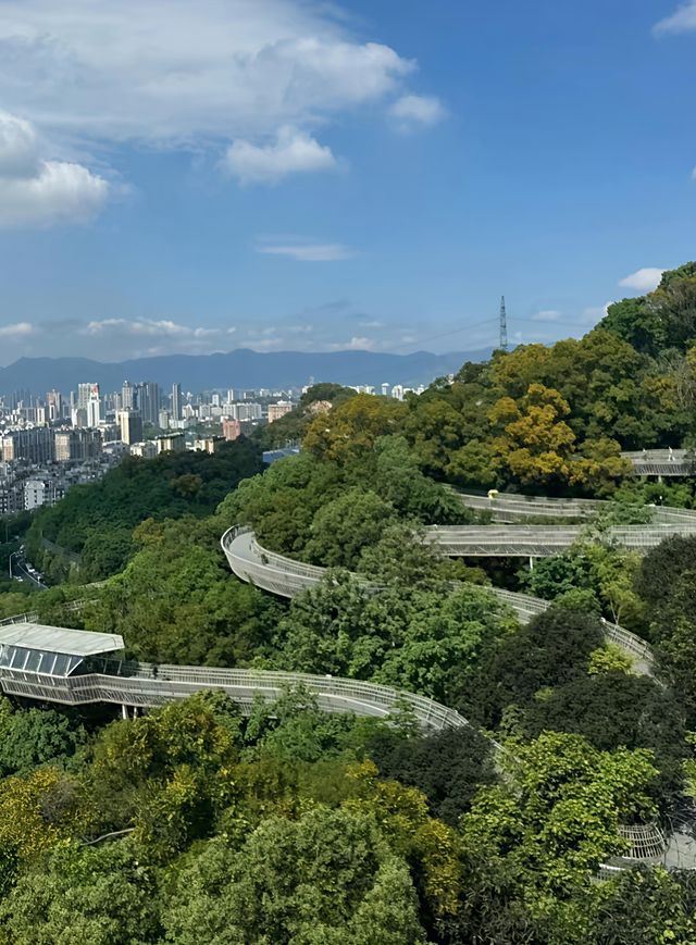 被呢間酒店圈粉，解鎖福州新玩法