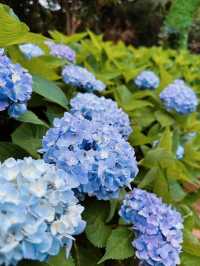 夏日私藏｜5個小眾郊遊地，避開人潮擁抱清涼山海