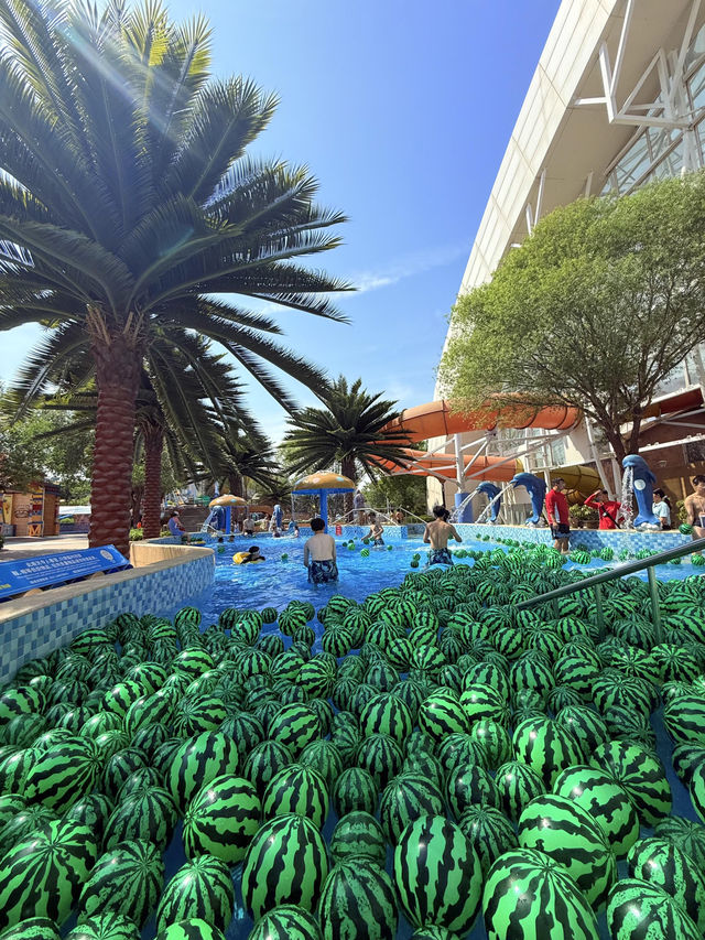 天津玩水新地標💦 瑪雅海灘水公園太炸啦