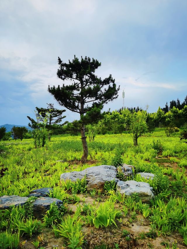 太原旅遊免費又好玩嘅地方-西山疊翠園，美景如畫。
