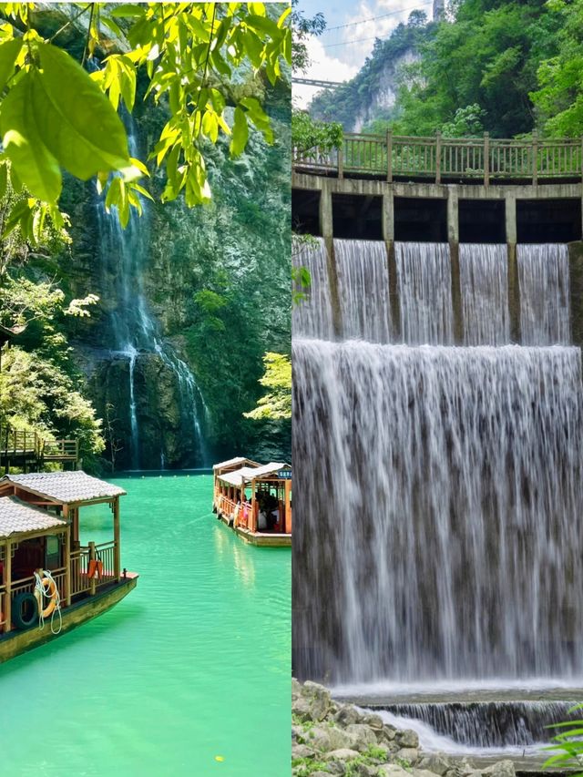 張家界撒歡指南｜喺奇峰秀水入面做野生玩家