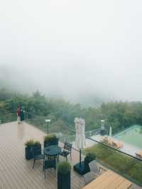當我住進安吉嘅雲霧之巔~目之所及皆係景色