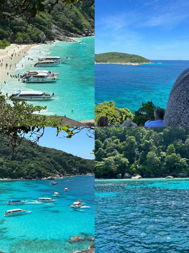 普吉島奇遇記 | 闖入海島萌物的治癒世界，浪漫到不想離開！