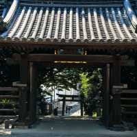 大阪住吉大社｜穿越時空的千年古建秘境✨