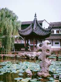 獅子林｜700年禪意園林嘅前世今生