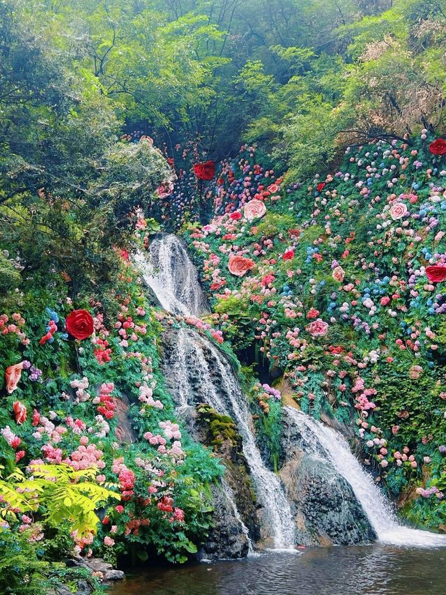 瀑布竹林，避暑聖地！重渡溝爽玩2日！