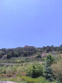 穿越金嶺山～