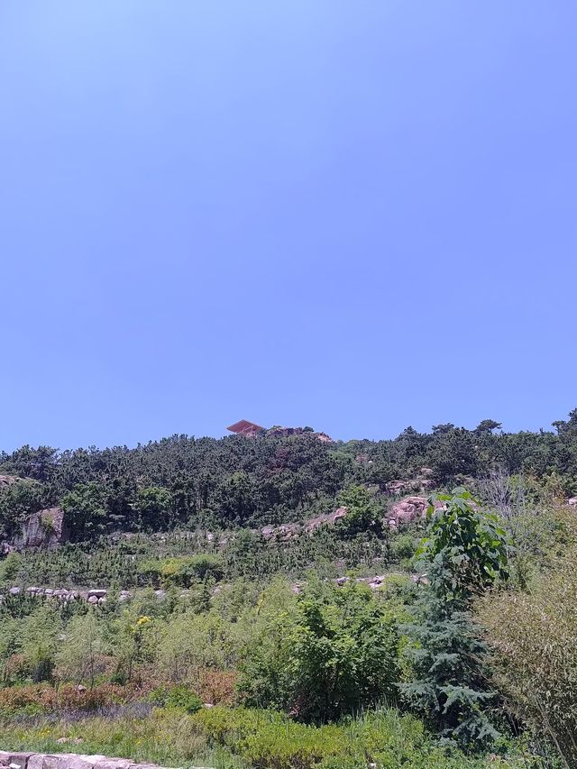 穿越金嶺山～