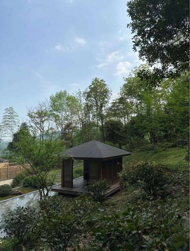 青城山民宿｜躲進森林發呆！