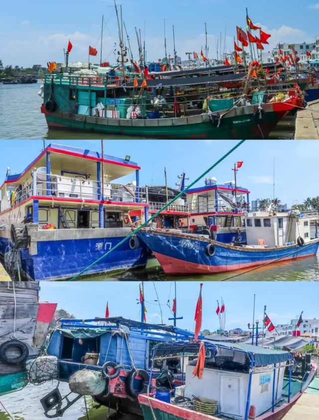 瓊海·潭門跨越時空，邂逅千年漁港之美  
瓊海潭門鎮，與博鰲一水相鄰，最著名的莫過於這裡剛捕撈上岸
